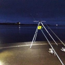 苅屋海岸の投げ釣り