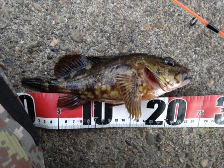 穴釣りに目覚めた!