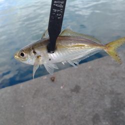 和歌山雑賀崎へ