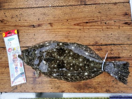 ノマセ釣りで☆