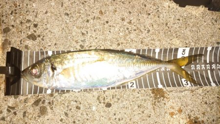 意を決して初釣りへ