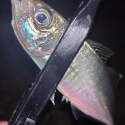 やっぱり納得がいかないよね。