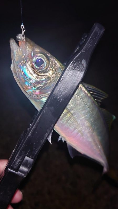 やっぱり納得がいかないよね。