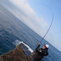 和歌山市江（吉丸渡船）でグレ釣り