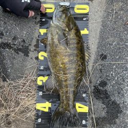 ハードアラバマで１本