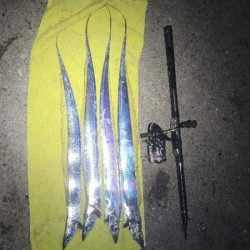 ついに釣り納め