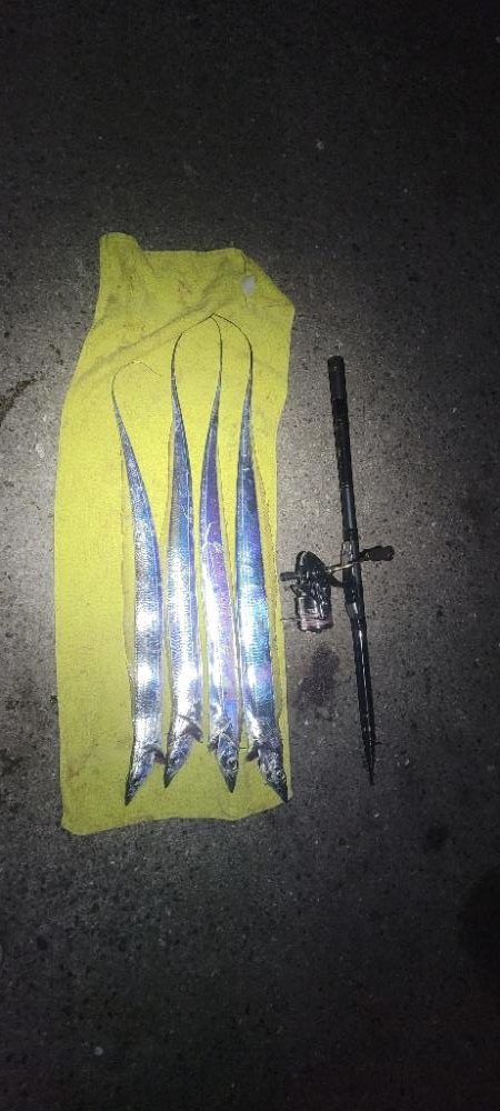 ついに釣り納め