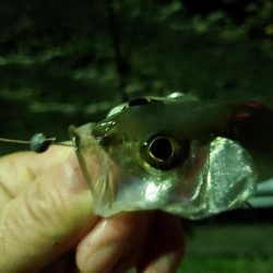 納まらなかったので