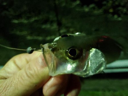 納まらなかったので