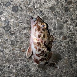 明けましておめでとうございます