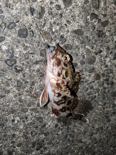 明けましておめでとうございます