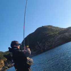 和歌山市江(吉丸渡船)でグレ釣り