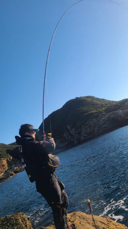 和歌山市江(吉丸渡船)でグレ釣り