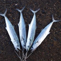 大荒れの次の日