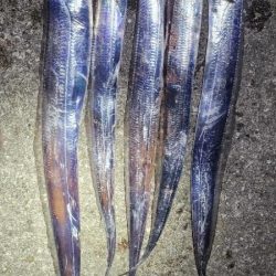 何かちょっと黄色い？？