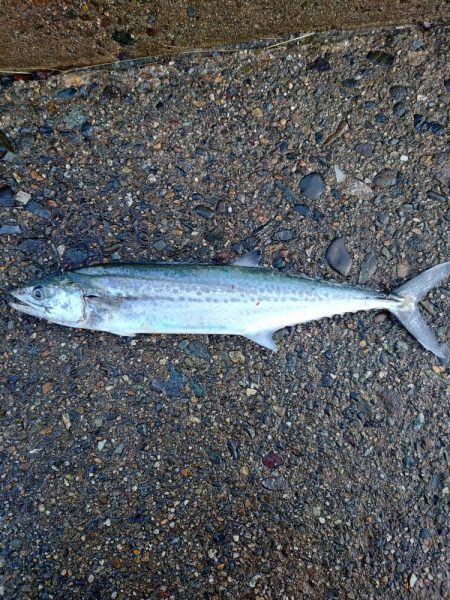 もう終わりかな?