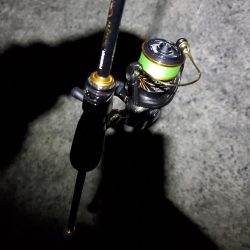 アジング　40cm越えた～