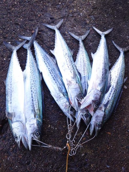 久しぶりのいい日だった