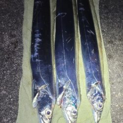 ふぐちゃんの猛攻から逃れて