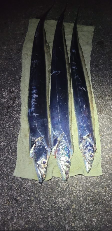 ふぐちゃんの猛攻から逃れて