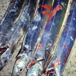 アタリはあるも散発的