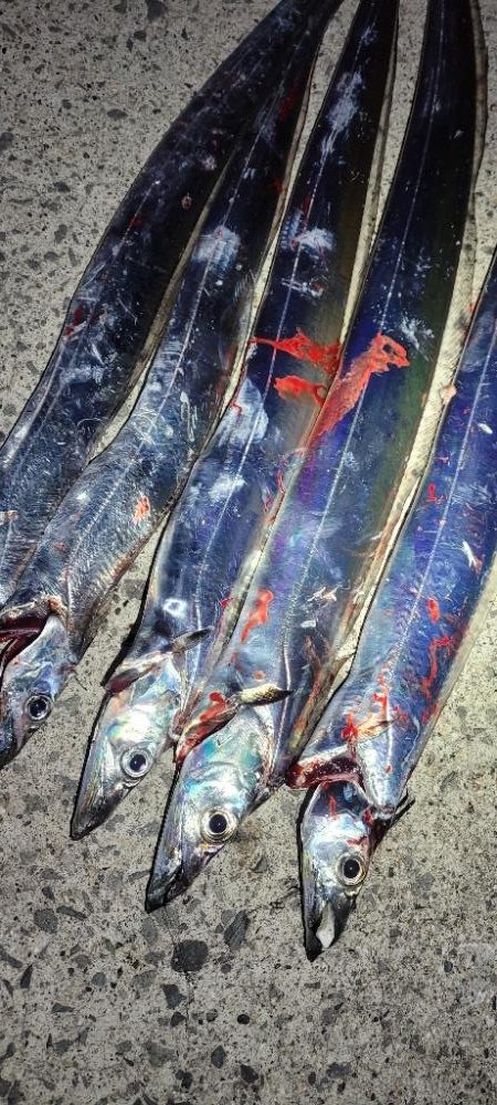 アタリはあるも散発的