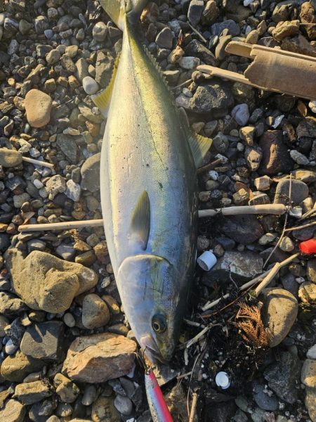 大時化夕方パターン