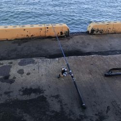 新年からのブリ