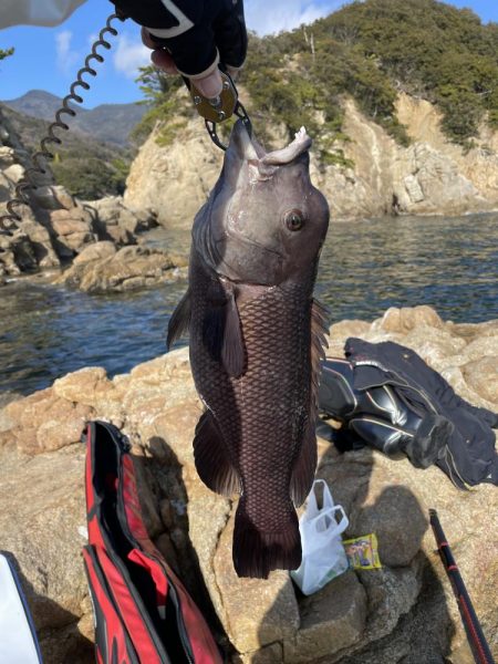 初釣り小豆島