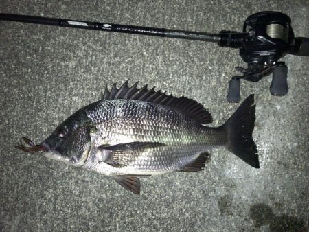 ワインドでマチヌゲット