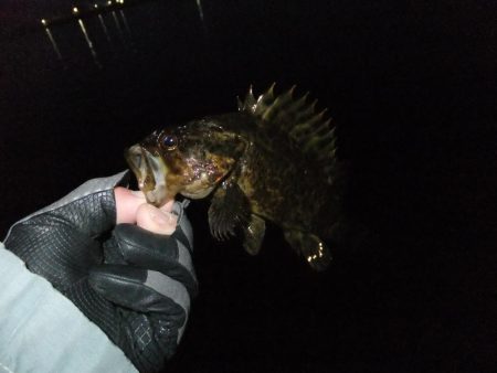 今日も渋かった