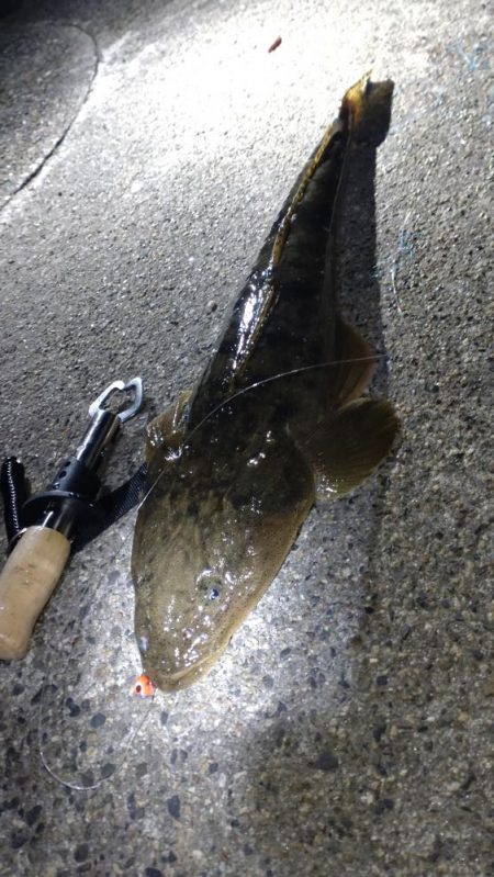 あけおめフィッシュ🎍&#x…