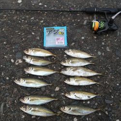 今年最後の釣行②