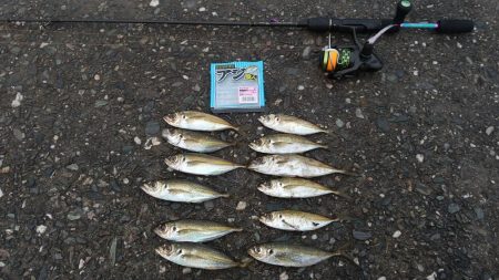 今年最後の釣行②