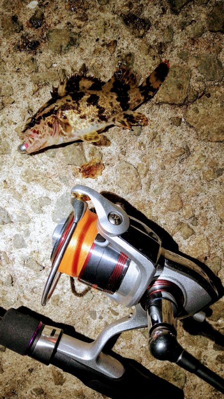 ぼっちで、レレレ連釣！