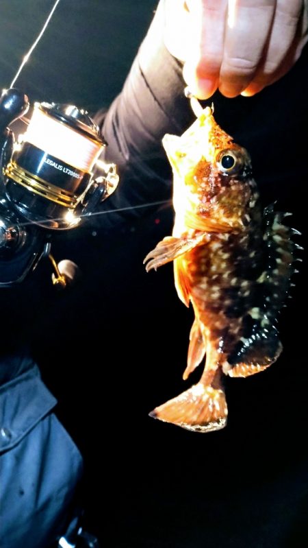 明姫より集いし林崎の夜！