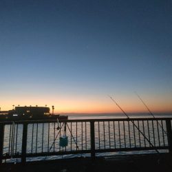 アジュール舞子でサビキとノマセ