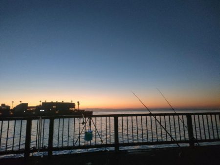 アジュール舞子でサビキとノマセ