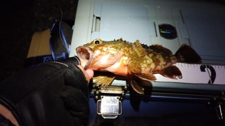 なんちゃってワーム