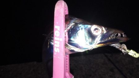 そろそろ終わりかな