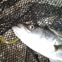 掛けるのが難しい…