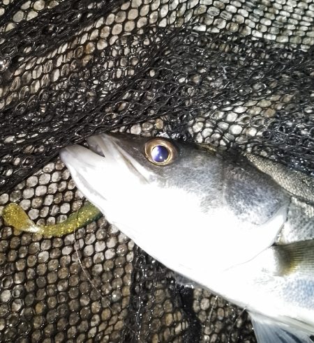 掛けるのが難しい…