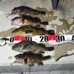 爆風がお休みな淡路島西側