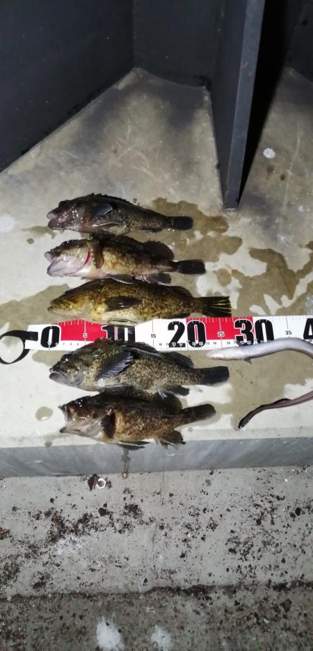 爆風がお休みな淡路島西側