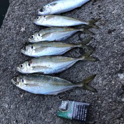 爆風の極寒アジング