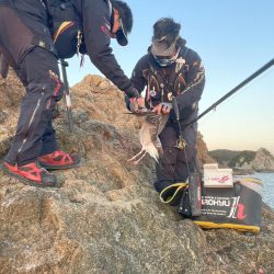 和歌山県串本出雲（谷口渡船）でグレ釣り