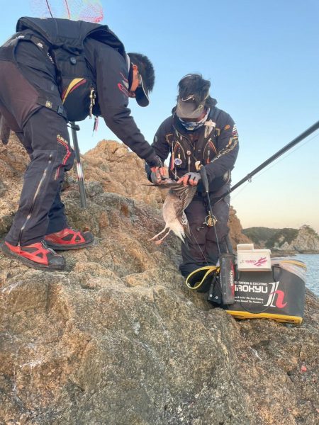 和歌山県串本出雲（谷口渡船）でグレ釣り