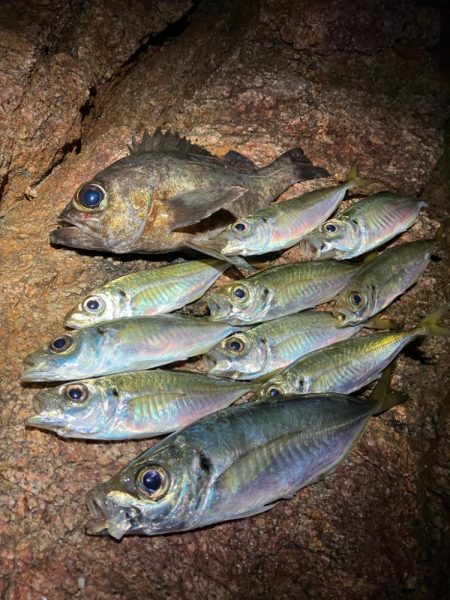 淡路島でライトゲーム