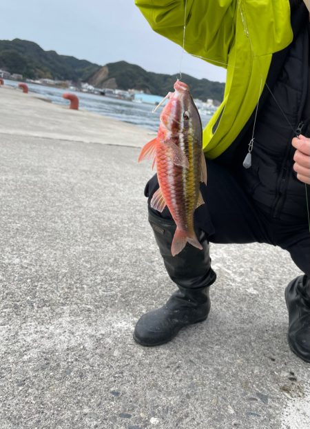 2時間釣行　いい引きでした！