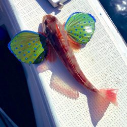 2024初釣行の結果は…